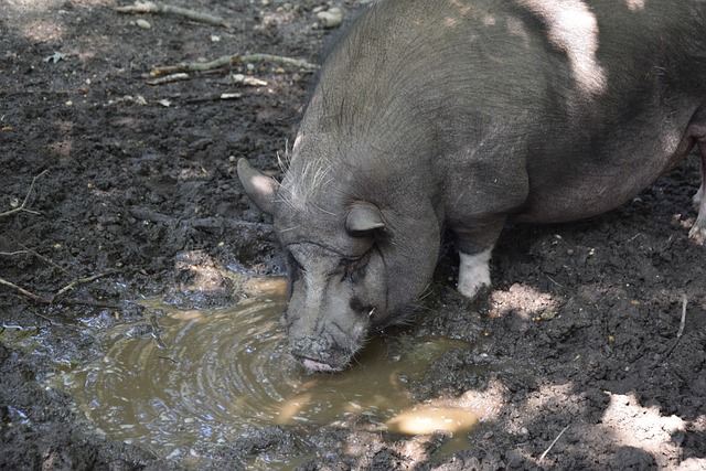 更令全球粉 更令全球粉