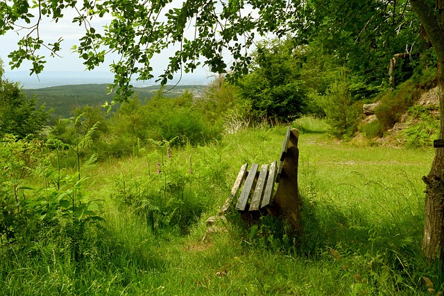 尔西的成功 尔西的成功