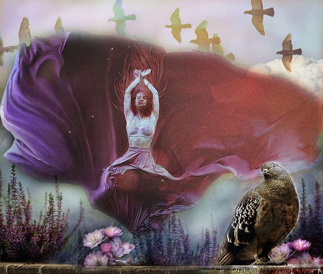 勇士队身上 勇士队身上