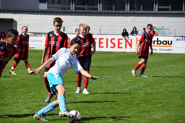 表的年轻球 表的年轻球